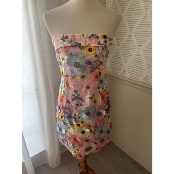 NWT Gigi & Ella Size 8 Medium Wren Pink Strapless 3D Garden Flowers Dress - Picture 2 of 9